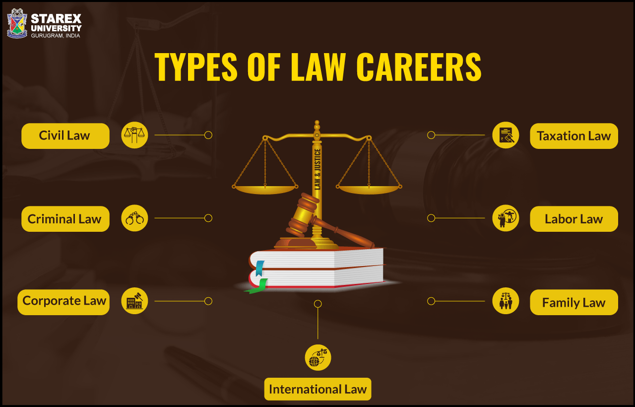 phd in law careers